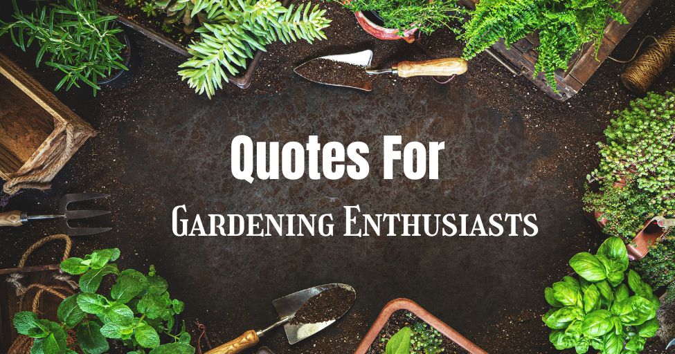 Quotes for gardening Enthusiasts