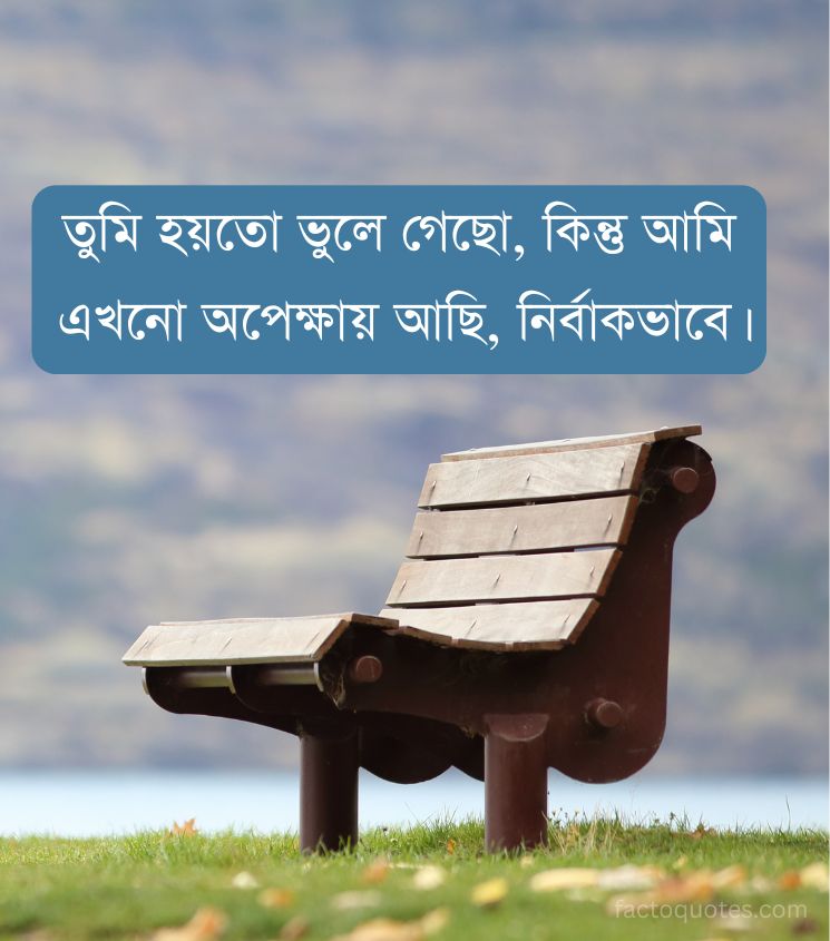 2 Line Life Sad Quotes in Bengali for Boys