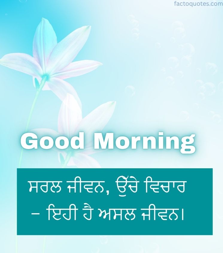 vibrant Punjabi good morning Flower Images