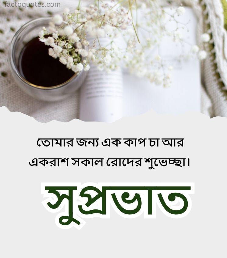 Suprabhat Quotes Bangla