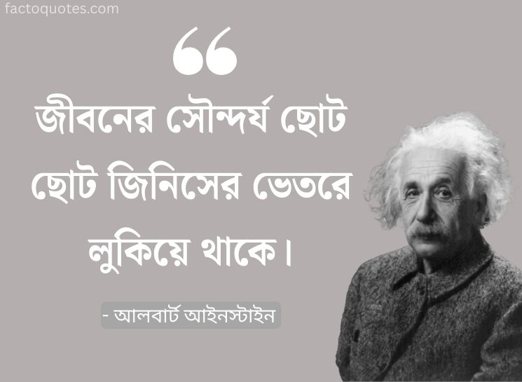 Albert Einstein Quotes in Bengali on Life