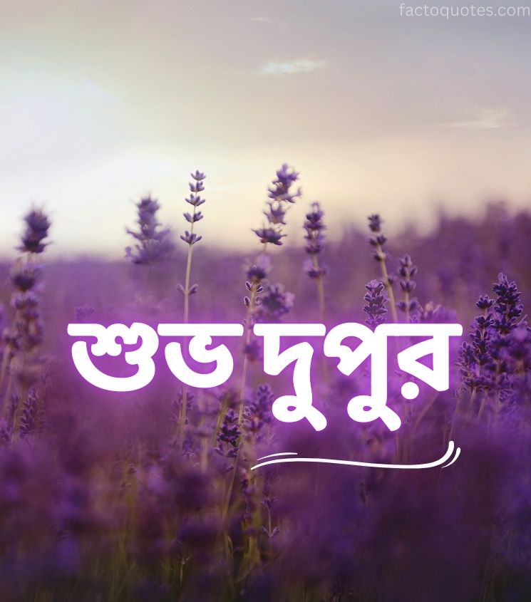 Good Afternoon Images in Bengali