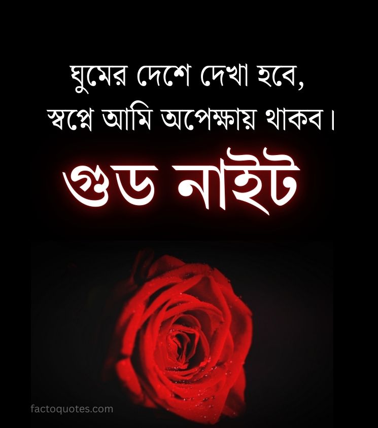 Bengali Good Night Quotes for Lover