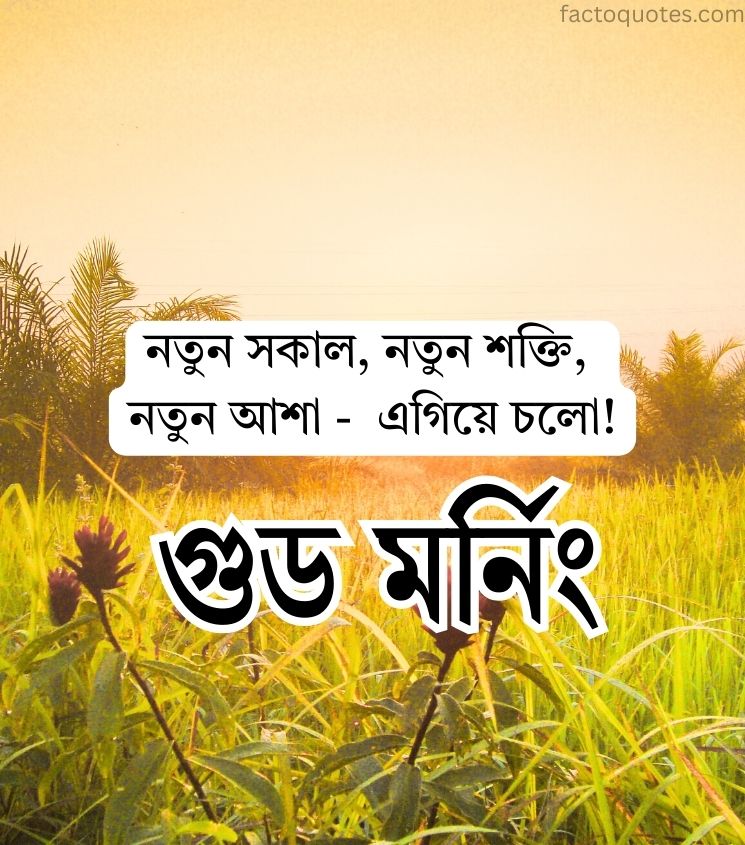 Inspiring Subho Sokal Quotes in Bengali for Status