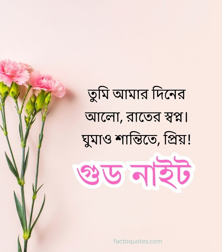 Bengali Good Night Quotes for Girlfriend