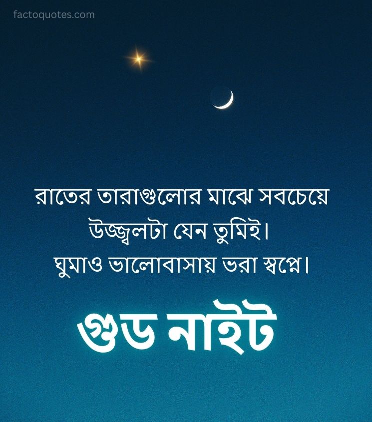 Romantic Good Night Quotes in Bengali for Lover
