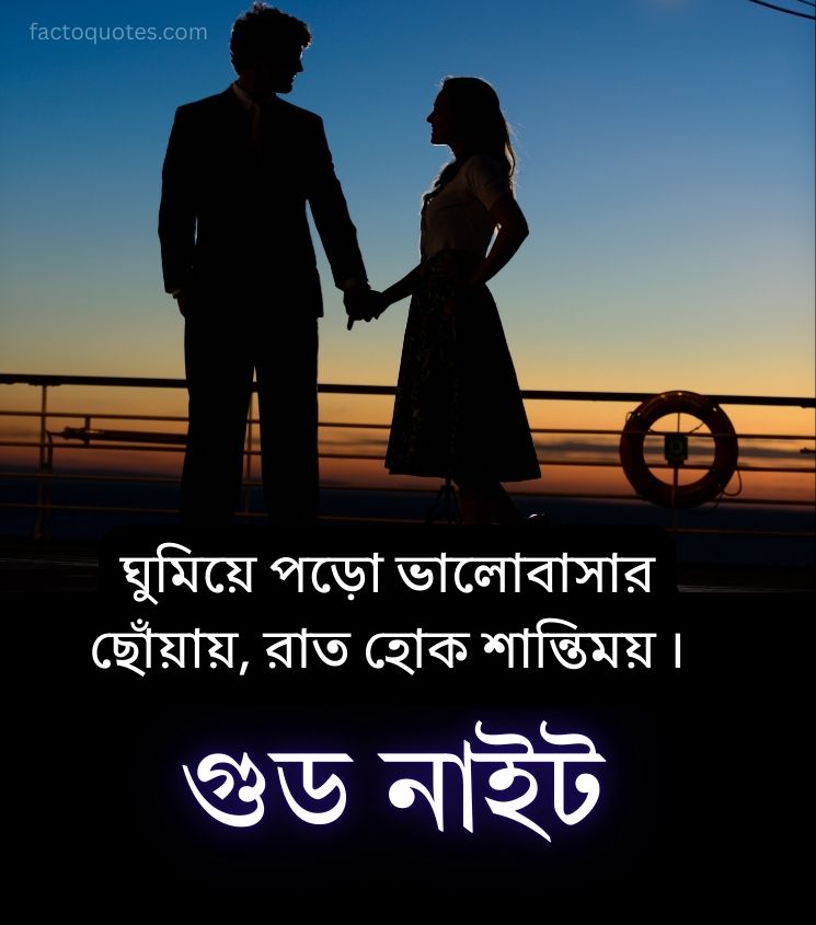 Good Night Quotes in Bengali for Lover