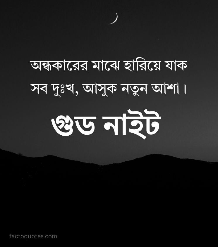 Bangla Good Night Quotes for Lover