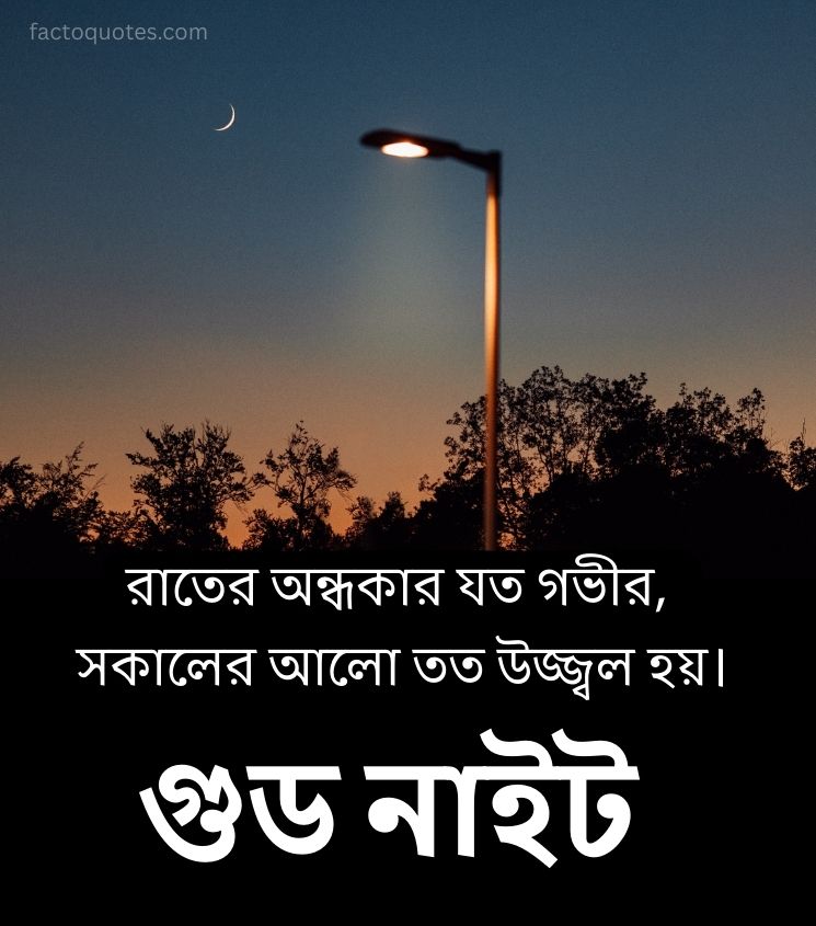 Good Night Quotes in Bengali for Status