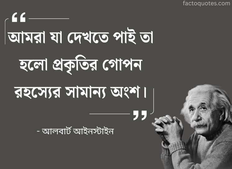Albert Einstein Quotes Bani on Nature