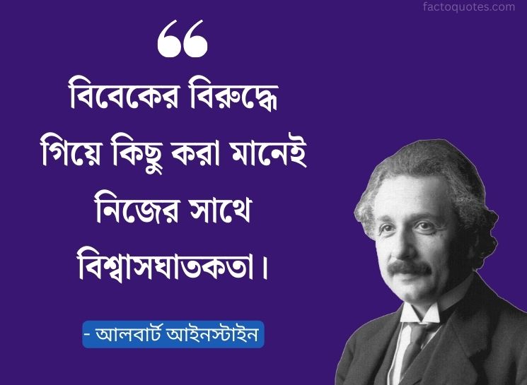 Albert Einstein Quotes Bani
