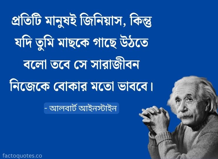 Einstein Quotes in Bengali