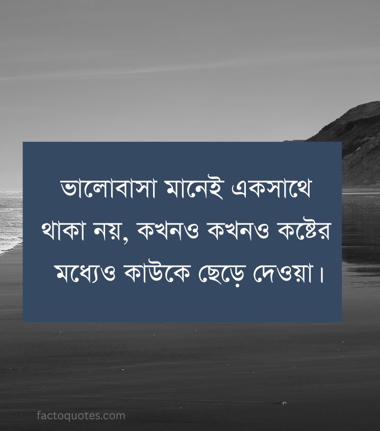 Bengali Sad Love Quotes for Status
