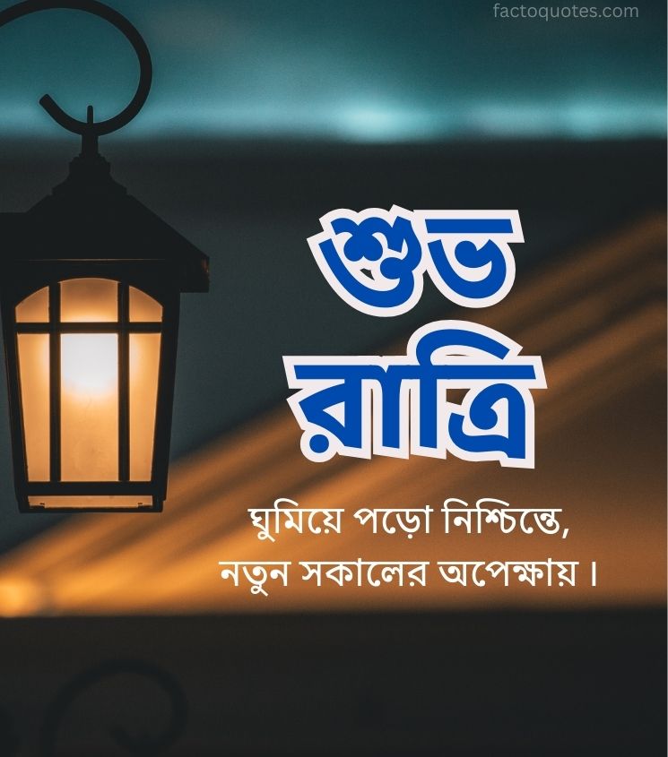 Bangla Shubho Ratri Quotes for Status