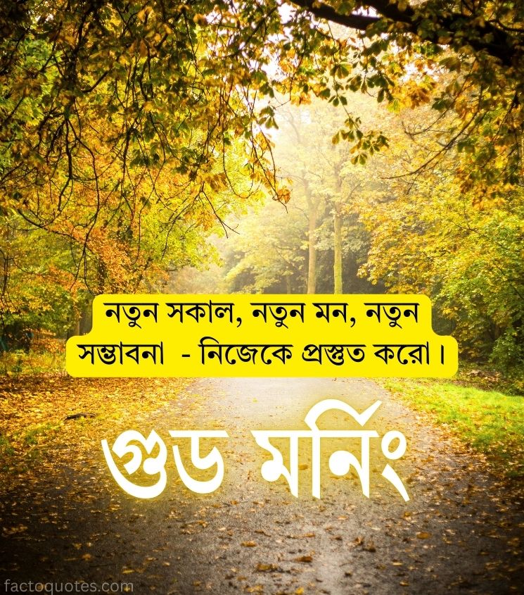 Best Good Morning Status pics in Bengali