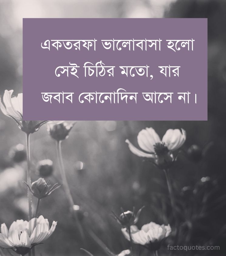 Bengali Sad Quotes on One Sided love