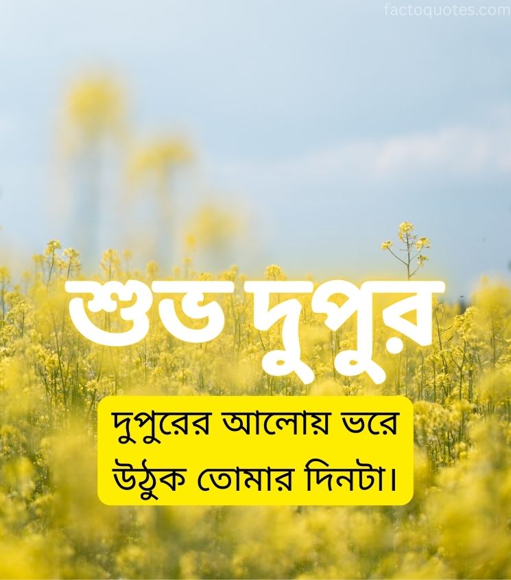 Shuvo Dupur Greetings for Status in Bengali