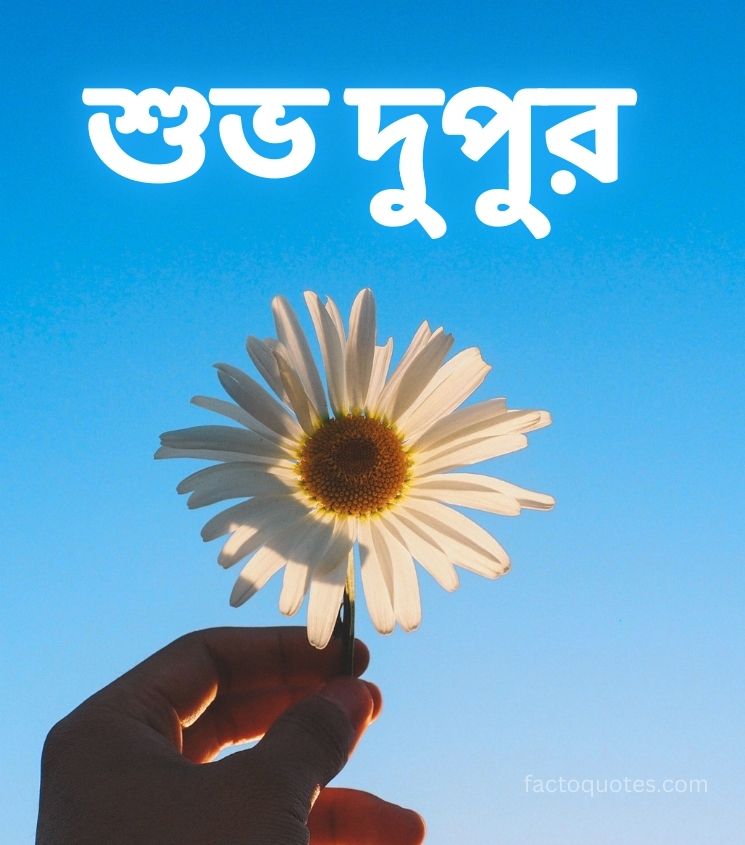 Bangla Good Afternoon Images