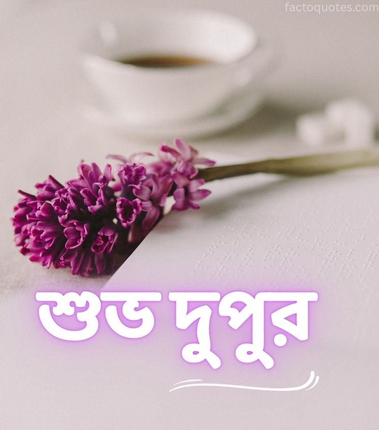 Bangla Good Afternoon Images for Status