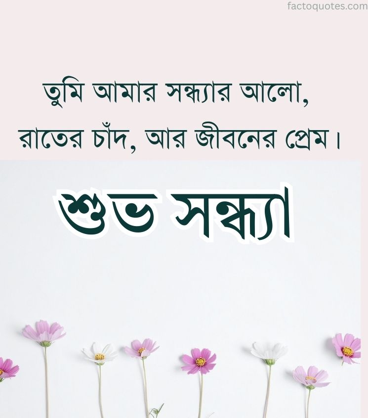 Romantic Good Evening Quotes in Bengali for Girlfriend