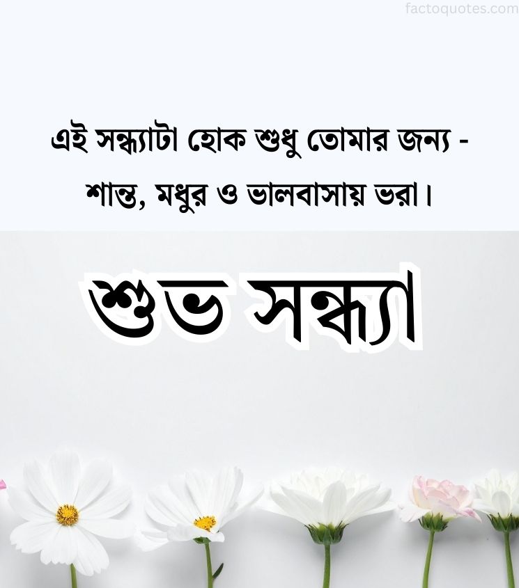 Good Evening Quotes Bangla for Status