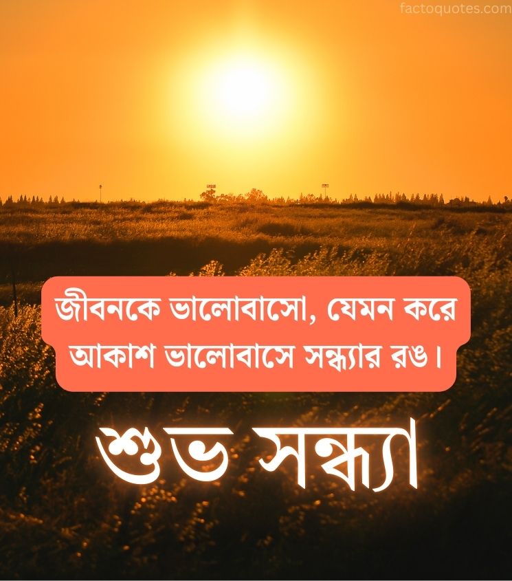 Bengali Good Evening Status Sunset