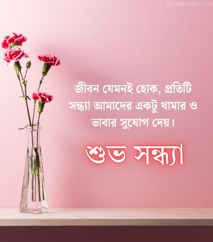 Love Good Evening Wishes in Bengali