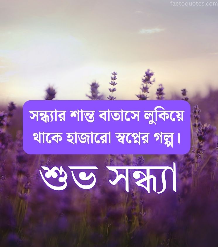Peaceful Good Evening Quotes Bangla