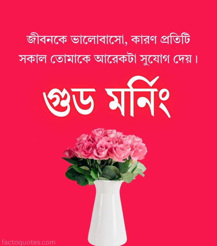 Bangla Good Morning Quotes