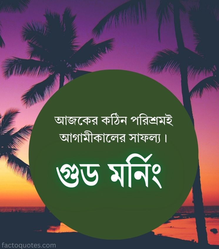 Good Morning Status in Bangla