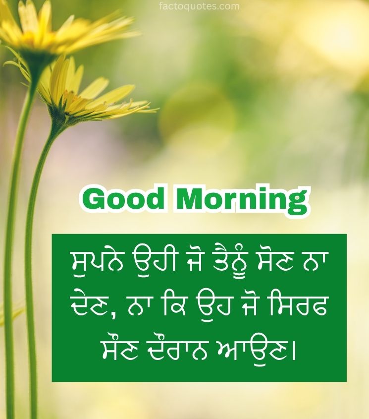 Good Morning Punjabi Quotes with Flowers
