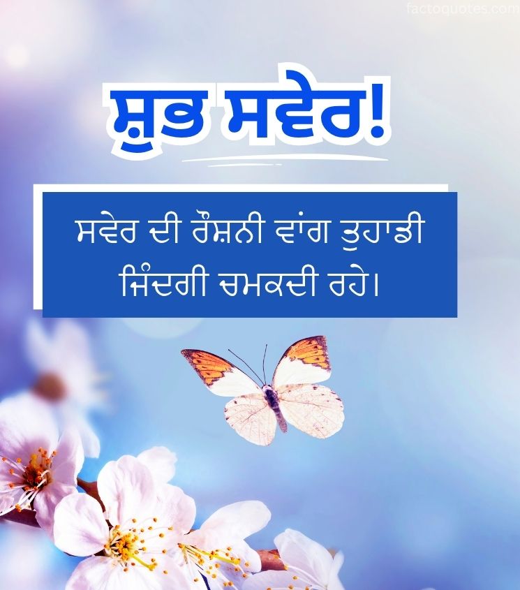 Beautiful Butterfly With Punjabi Good Morning Images