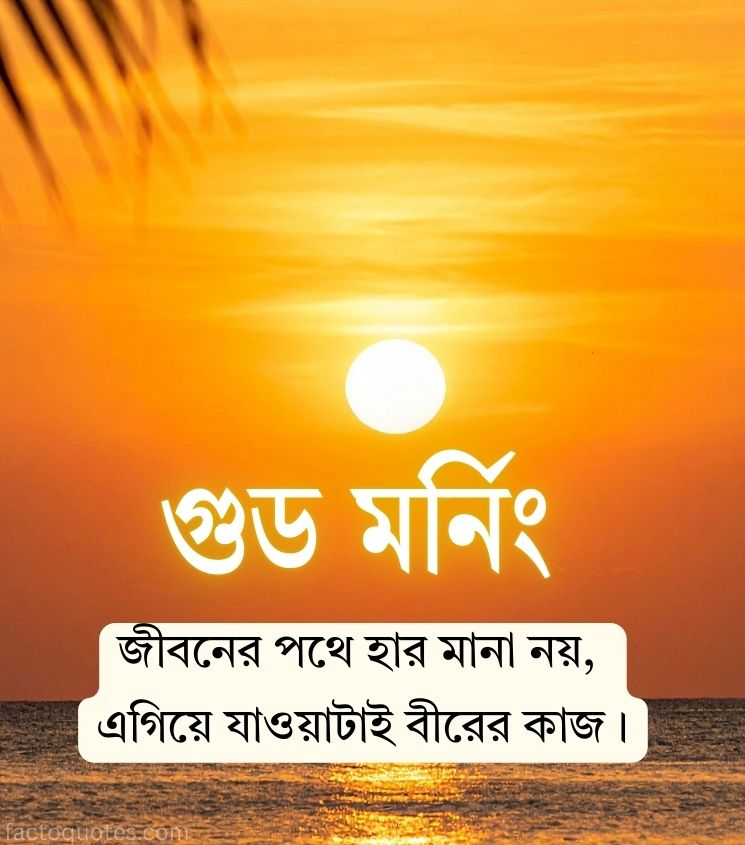 Bengali Good Morning Quotes with Sunrise