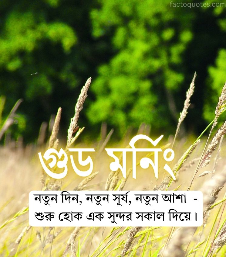 Good Morning Quotes in Bengali