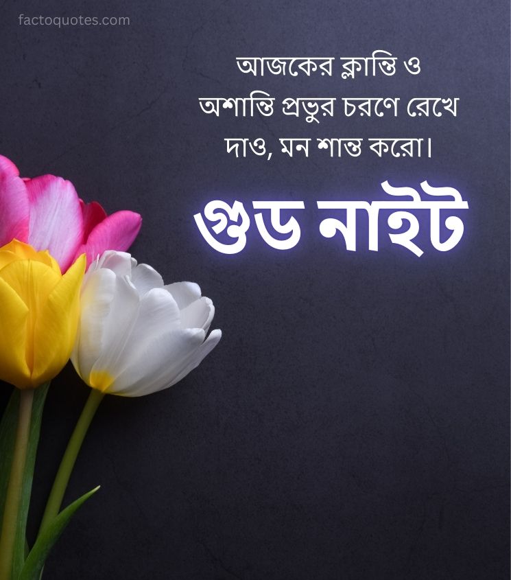 Bengali Spiritual Good Night Quotes