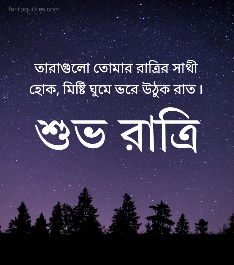 Good Night Quotes Bengali for Lover