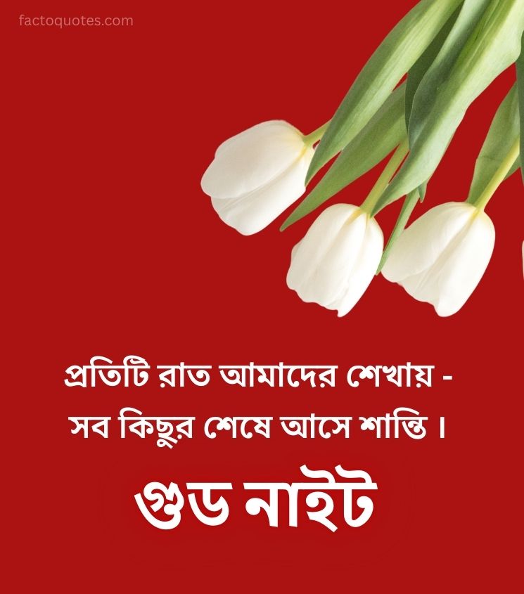 Good Night Bengali Quotes with Flower