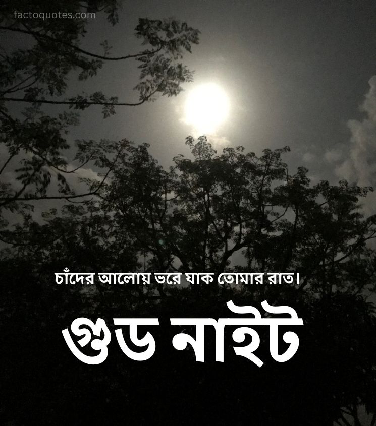 Good Night Bengali One Line Quotes