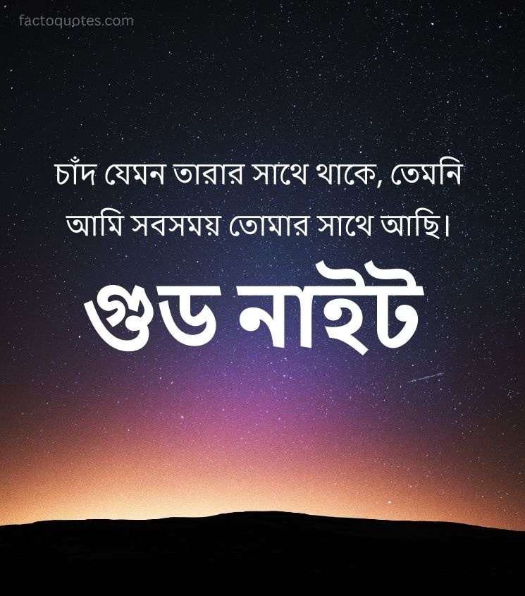 Bangla Good Night Quotes for Status