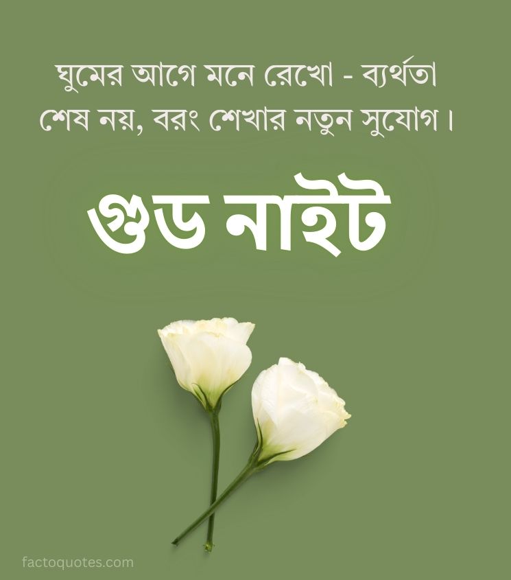 Bengali Good Night Quotes Pics for Flower
