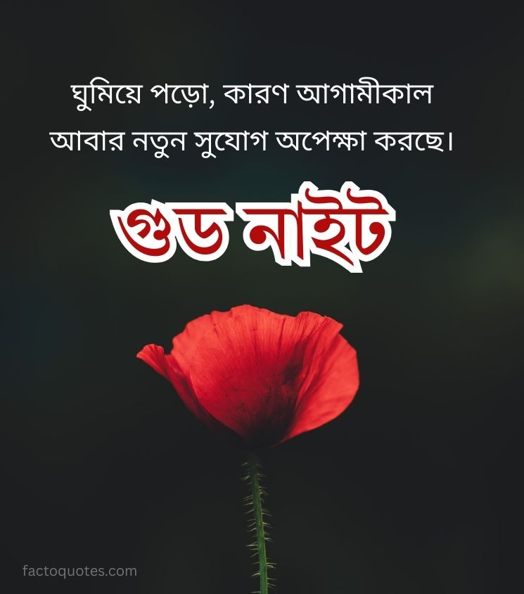 Good Night Quotes in Bengali