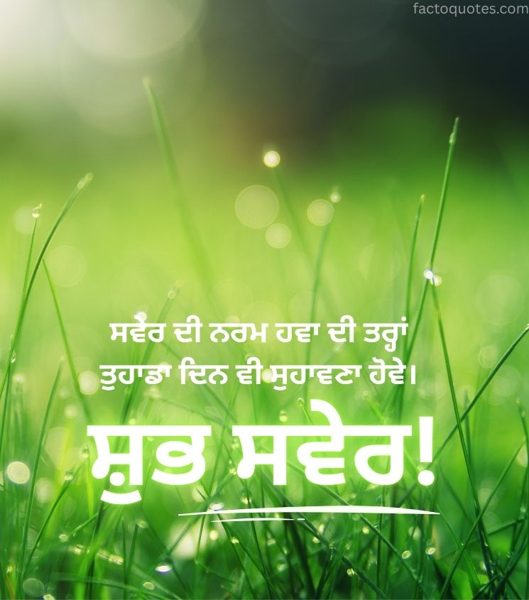 Good Morning Punjabi Pic for Status