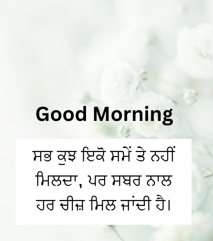 Good Morning Punjabi Quotes