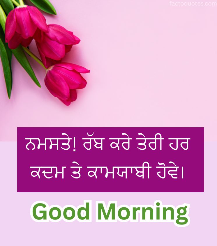 Good Morning Punjabi Images with Beautiful Flowers