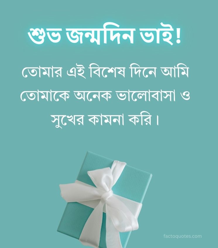 Birthday Quotes for Brother in Bengali