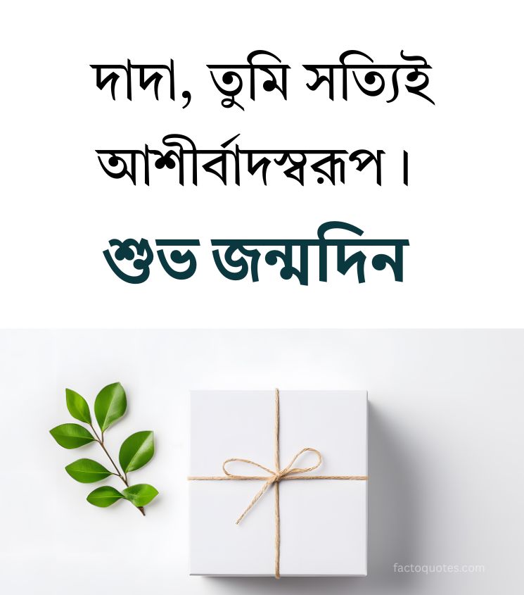 Birthday Wishes For Dada in Bengali