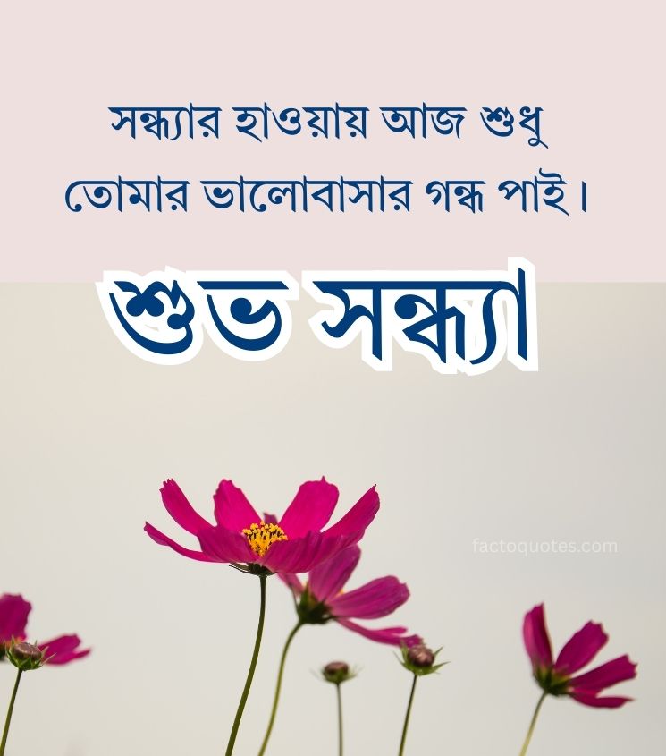 Bengali Good Evening Quotes with Flower