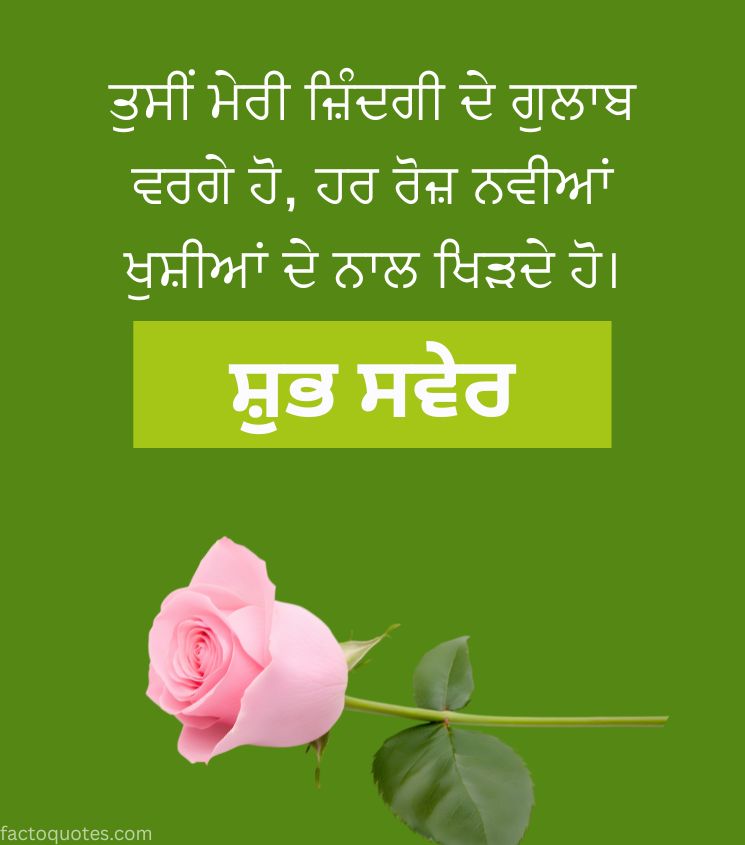 Good Morning Punjabi Rose images for Status