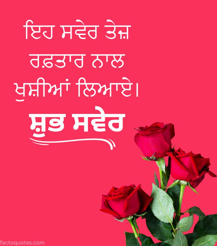Punjabi Shubh Savera images with Rose Flower