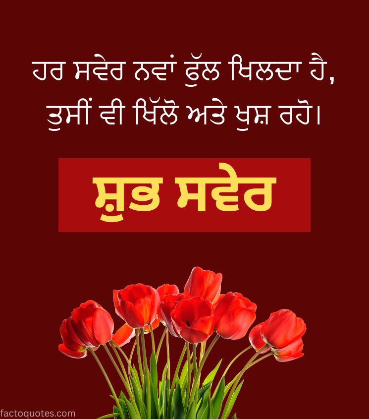 Good Morning Tulip Flower Pics in Punjabi Language